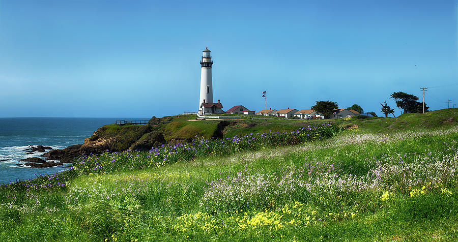 Pigeon Point Lighthouse Photograph