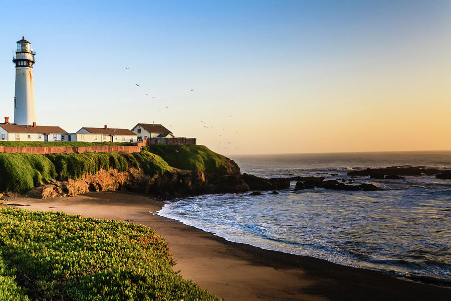 Pigeon Point Sunset Photograph by Sean O'Cairde - Fine Art America