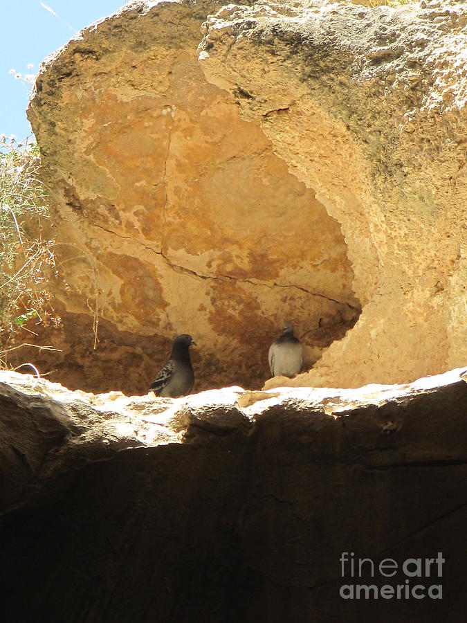 Pigeons Above Bell Caves Photograph by Donna L Munro