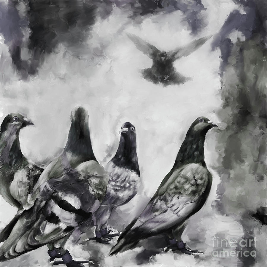 Bird Painting - Pigeons BW by Gull G