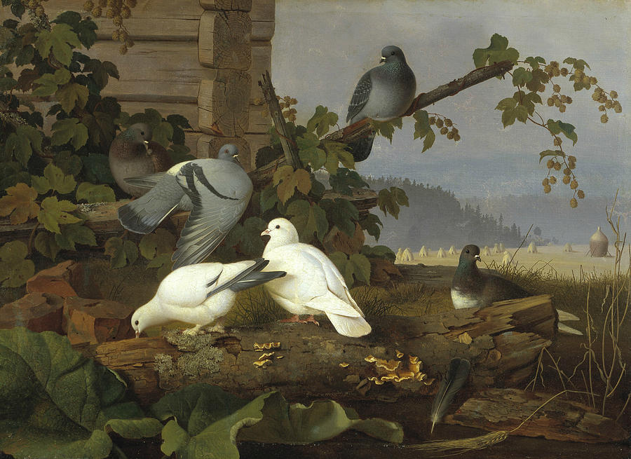 Pigeons Painting by Ferdinand von Wright