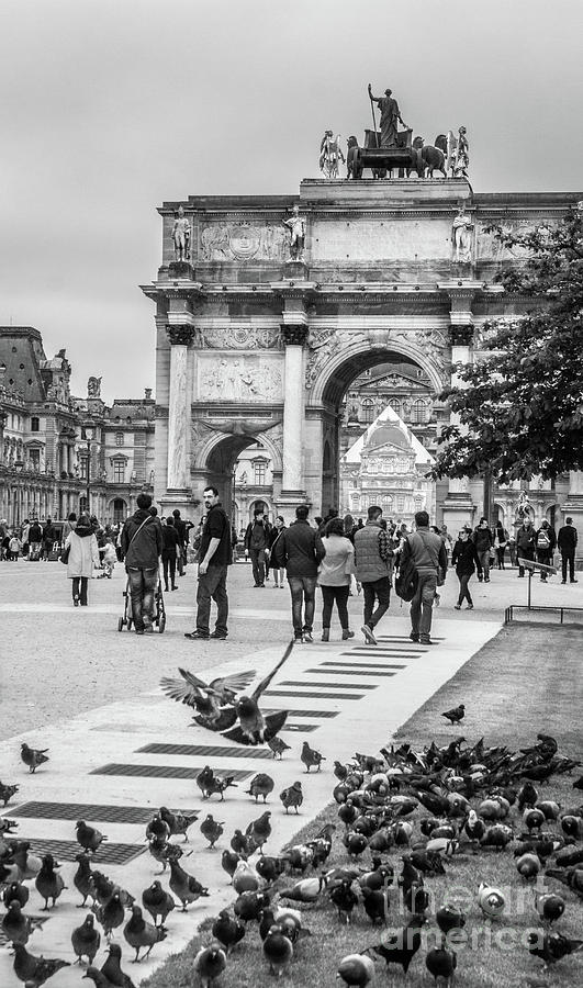 Pigeons Flocking At Arc du Carrousel, Louvre, Blk Wht Photograph by Liesl Walsh