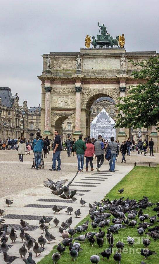 Pigeons Flocking At Arc du Carrousel, Louvre Photograph by Liesl Walsh