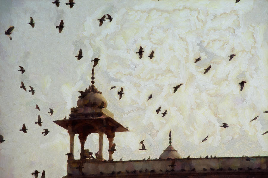 Pigeons in a Delhi sky Photograph by Ashish Agarwal