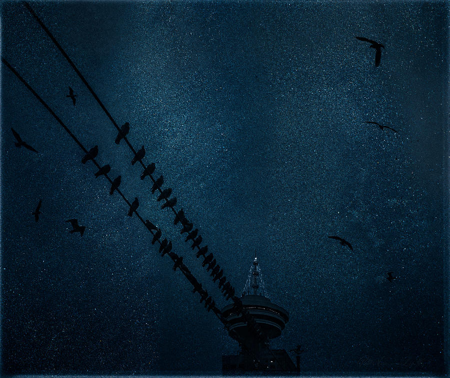 Pigeons on a wire - in dark blue Photograph by Peter V Quenter