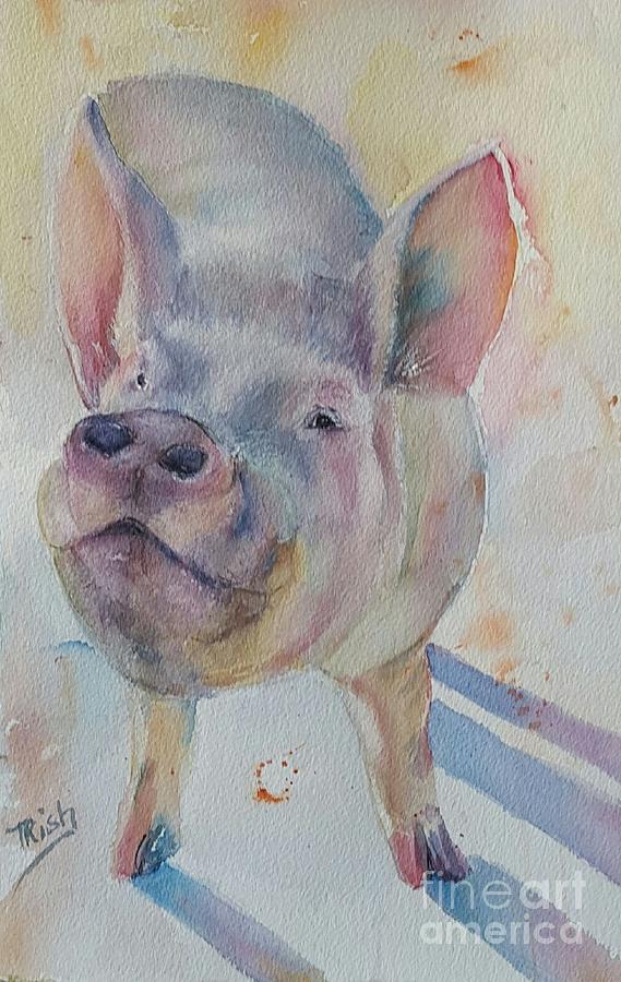 Farm Animals Painting - Piggy by Patricia Pushaw