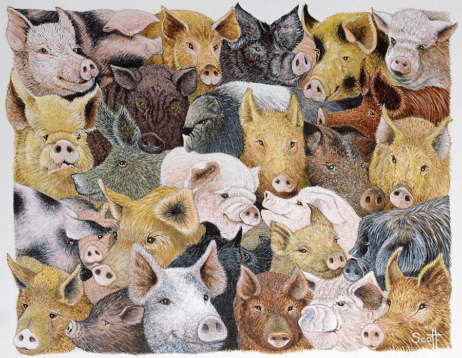 Pig Painting - Pigs Galore by Pat Scott