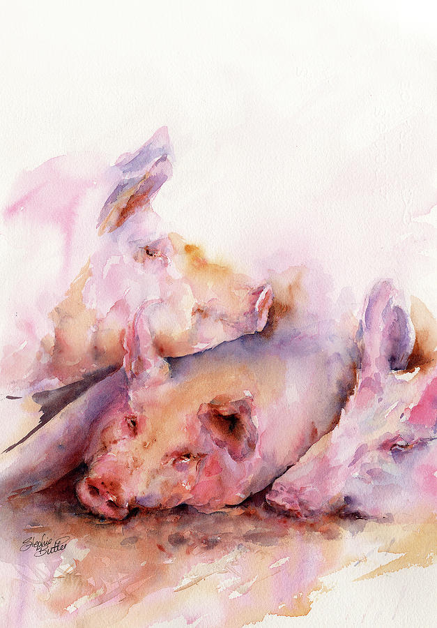 Wildlife Painting - Pigs in Clover by Stephie Butler