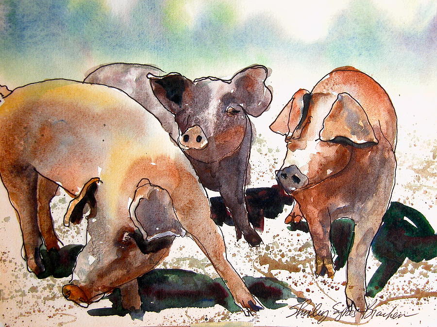Pigs Painting by Shirley Sykes Bracken