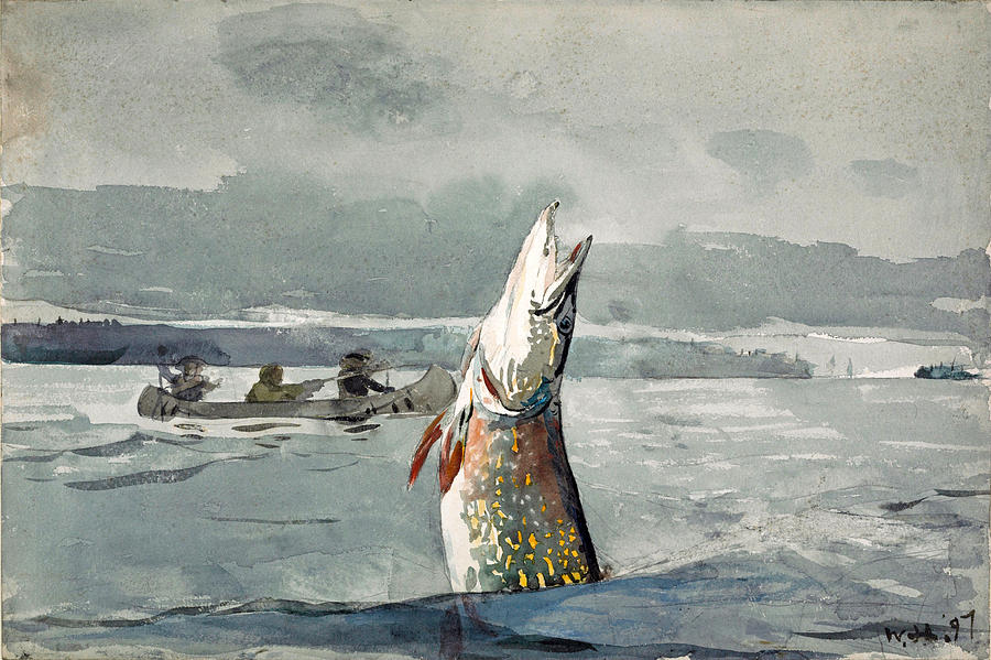 Pike. Lake St. John Drawing by Winslow Homer