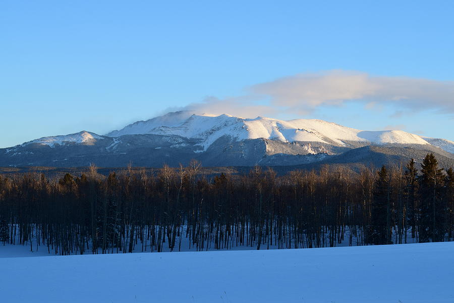 Pikes Peak from CR511 Divide CO Photograph by Margarethe Binkley