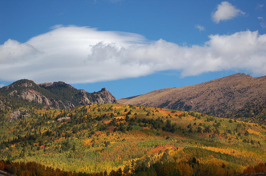 Fall Photograph - Pikes Peak Gold by Jennifer Forsyth