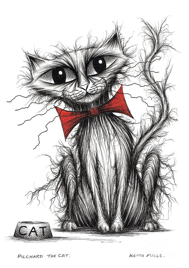 Pilchard the cat Drawing by Keith Mills