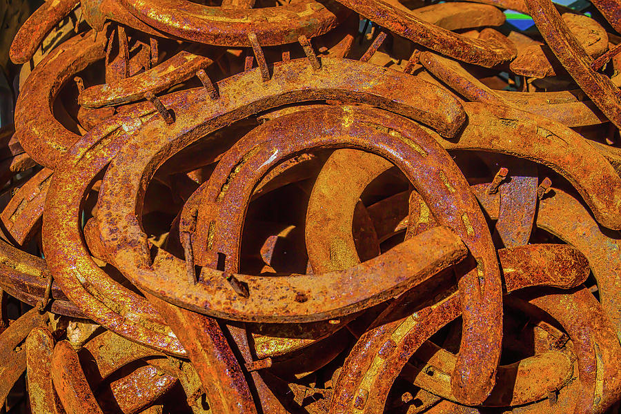 Pile Of Rusty Horseshoes Photograph by Garry Gay