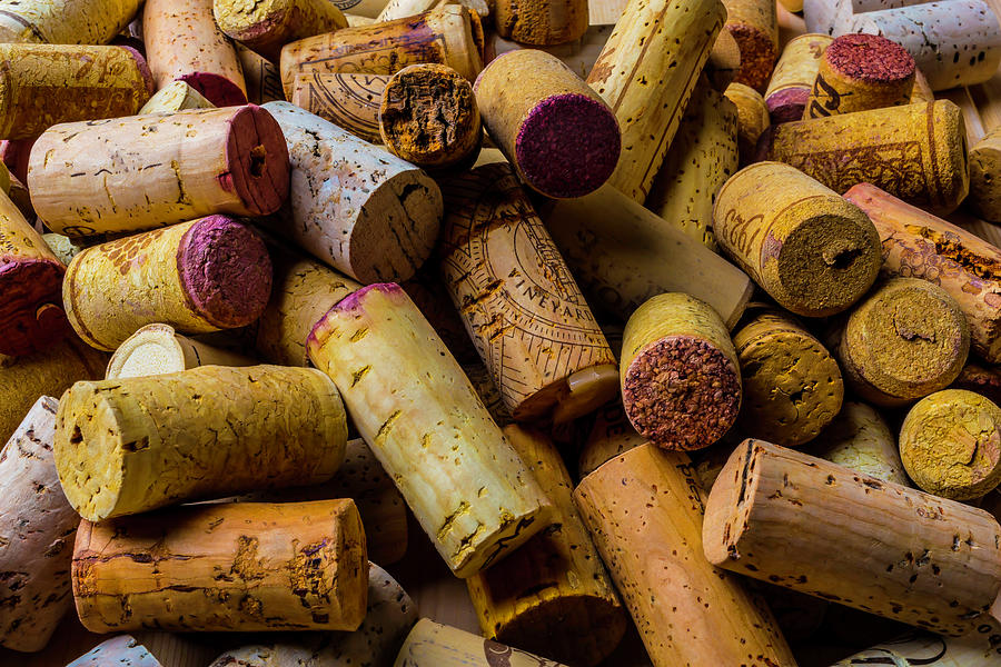 Pile Of Wine Corks Photograph by Garry Gay