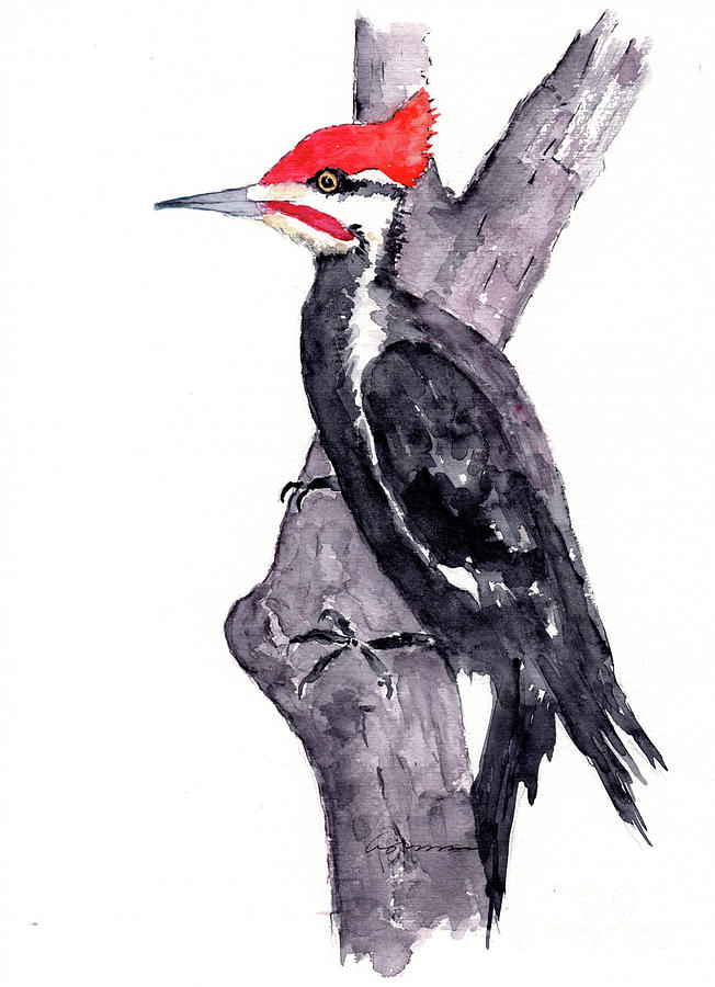 Woodpecker Painting - Pileated Woodpecker in tree by Claudia Hafner
