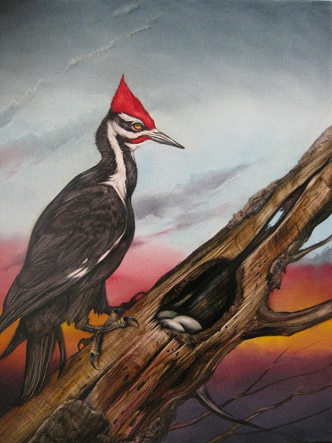 Woodpecker Painting - Pileated Woodpecker by Martin Katon