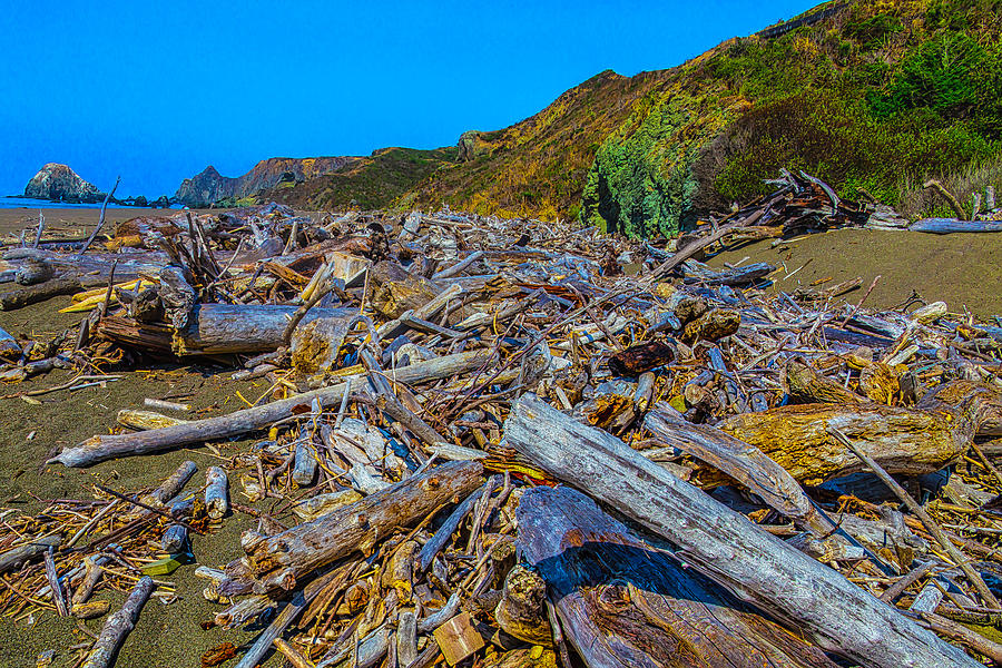 Piles Of Driftwood Sonoma Beach Photograph by Garry Gay