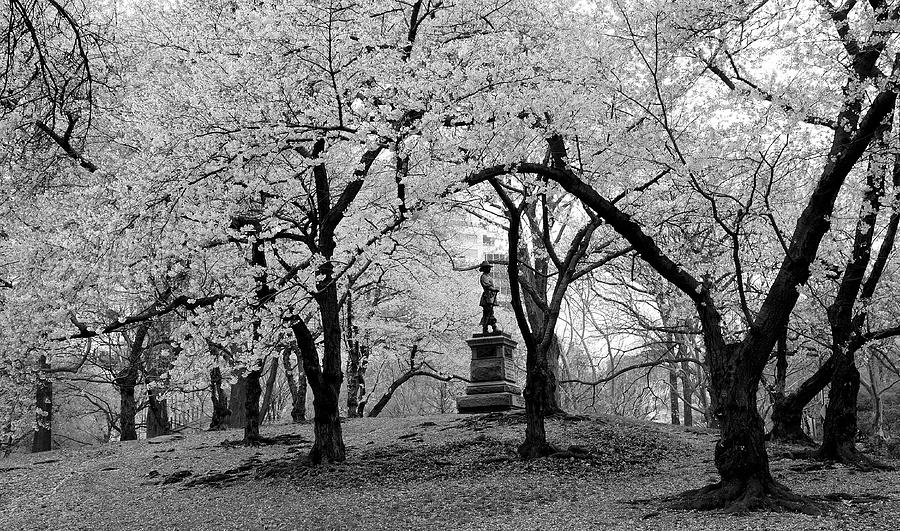 Central Park Photograph - Pilgrim Fathers Statue BW by Soon Ming Tsang