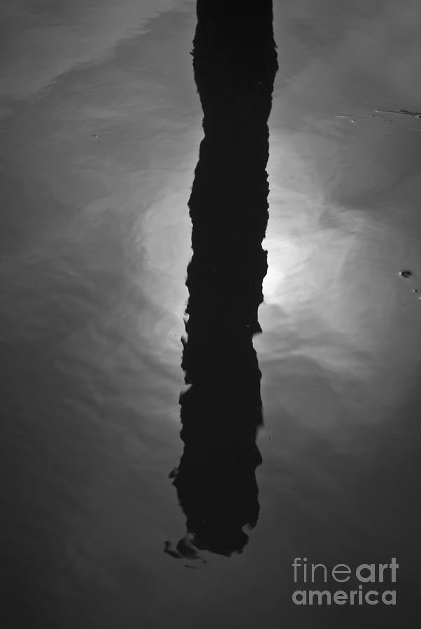 Piling and Sun Reflection No. 2 Photograph by David Gordon