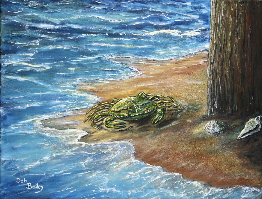 Piling creatures by Debra Bailey Piling creatures by Debra Bailey