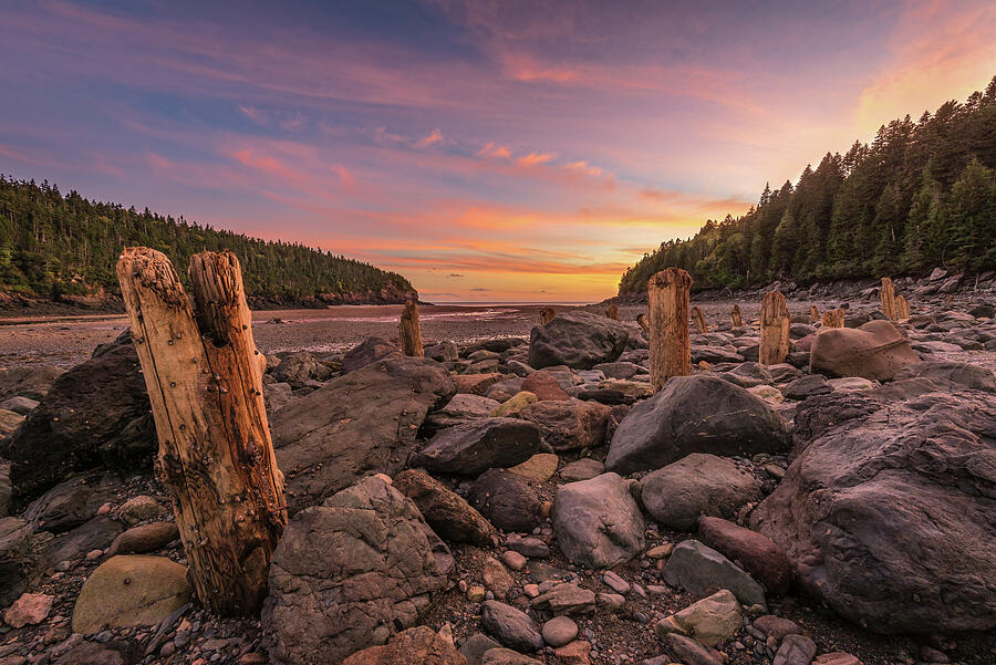 Pilings at Point Wolfe Photograph by Tracy Munson
