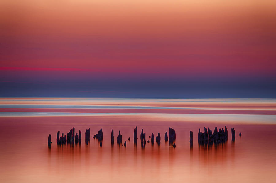Pilings Photograph by CA  Johnson