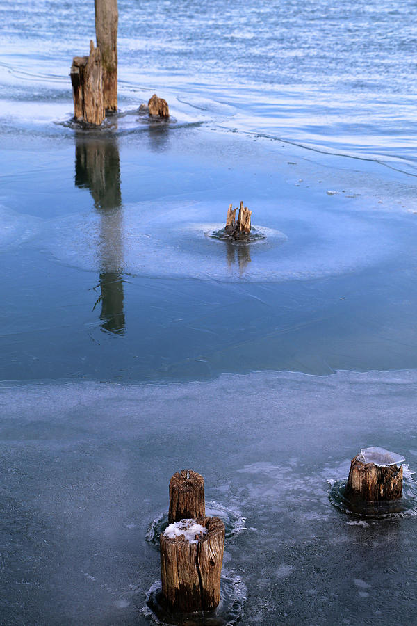 Pilings in Ice 2017 2 Photograph by Mary Bedy