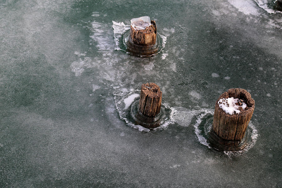 Pilings in Ice 2017 6 Photograph by Mary Bedy