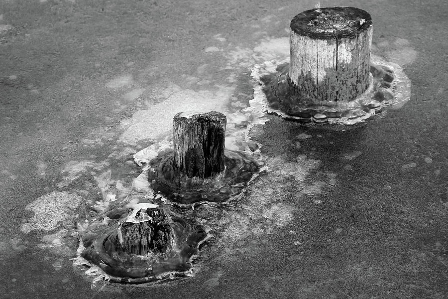 Pilings in Ice 2017 6 BW Photograph by Mary Bedy
