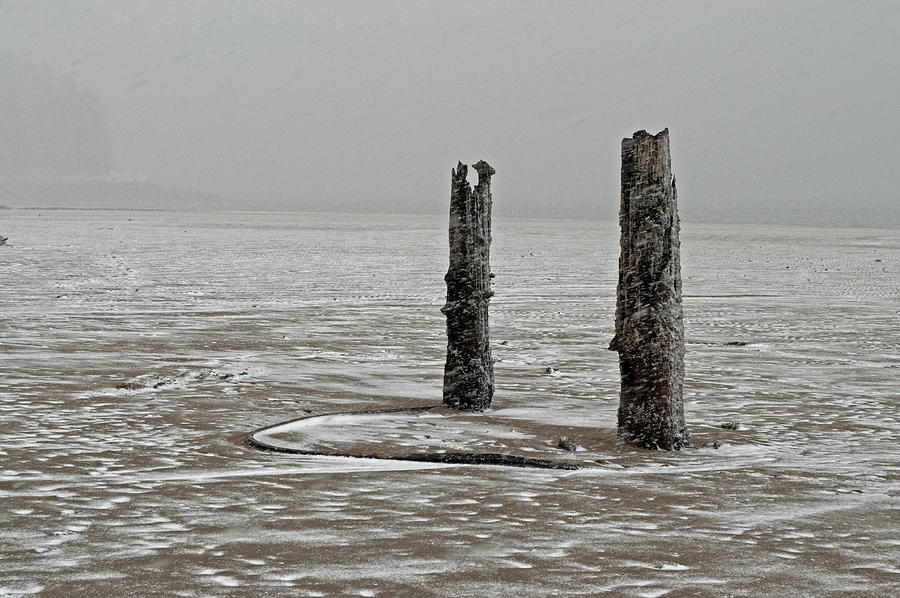 Pilings in Snow Photograph by Cathy Mahnke