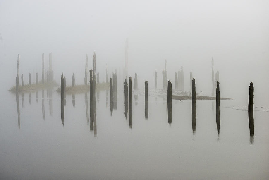 Pilings in the Mist Photograph by Robert Potts