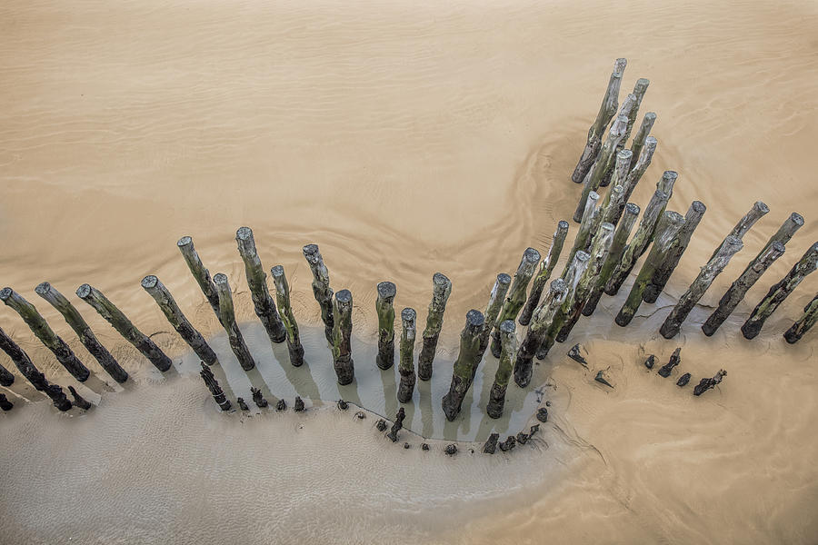 Nature Photograph - Pilings on a Sandy Beach by Diana Hughes