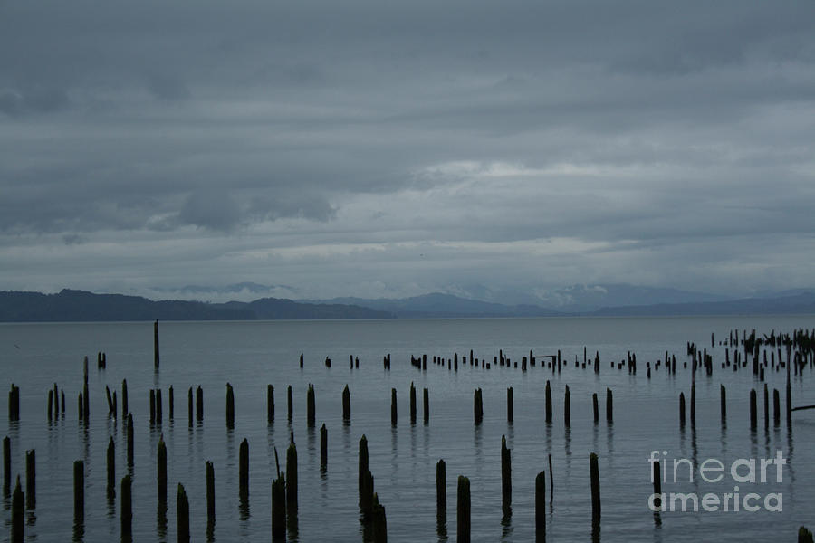 Pilings on Columbia River Photograph by Suzanne Lorenz