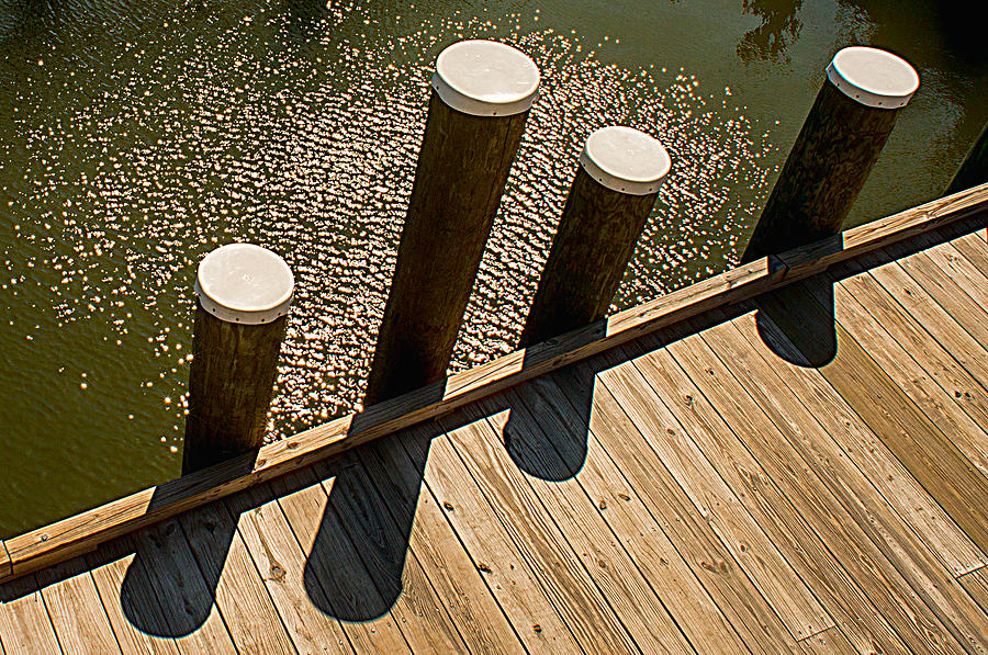 Pilings - St. Michaels MD Photograph by Dana Sohr