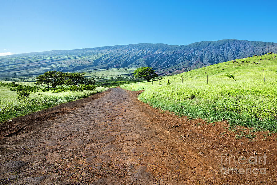 Pillani Highway Maui Photograph by Baywest Imaging