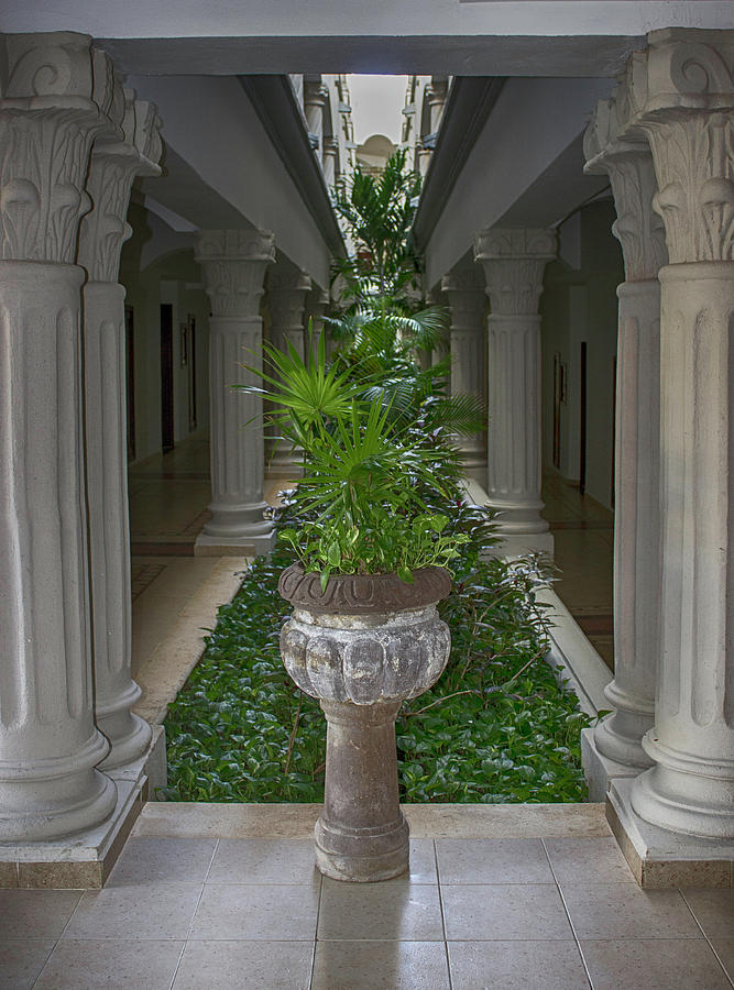 Pillar and Plant Photograph by Larry Pegram