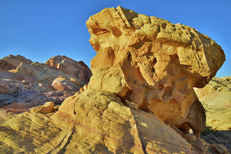 Pillar of Gold in Valley of Fire Photograph by Ray Mathis