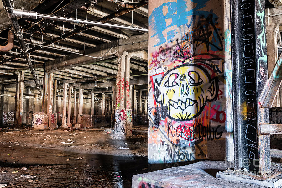 Pillars Abandoned Photograph by Joann Long