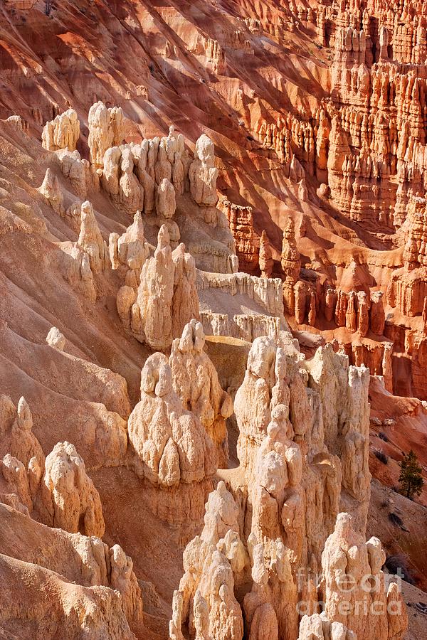 Bryce Canyon National Park Photograph - Pillars  by Hideaki Sakurai