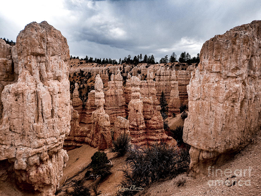 Nature Photograph - Pillars of Creation by Adam Morsa