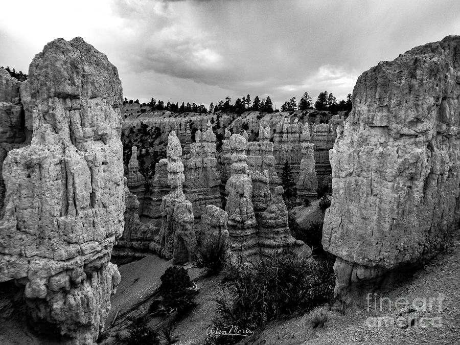 Pillars of Creation, Black and White Photograph by Adam Morsa
