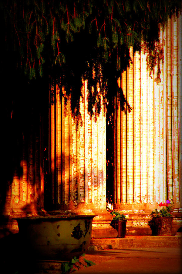 Pillars Photograph by Susie Weaver