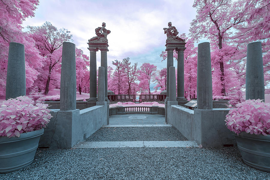 Pillars with Pink Photograph by Brian Hale