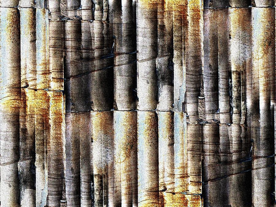 Pillarscape Digital Art by Tim Allen