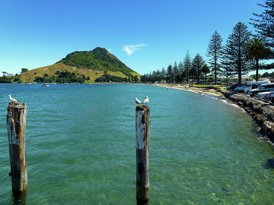Pilot Bay Beach 1 - Mt Maunganui Tauranga New Zealand Photograph by Selena Boron