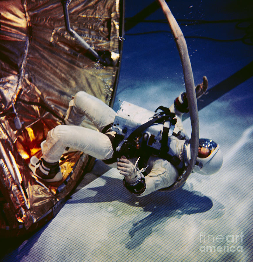 pilot for  Gemini 12 spaceflight assumes a rest position during underwater zero gravity training Photograph by Vintage Collectables