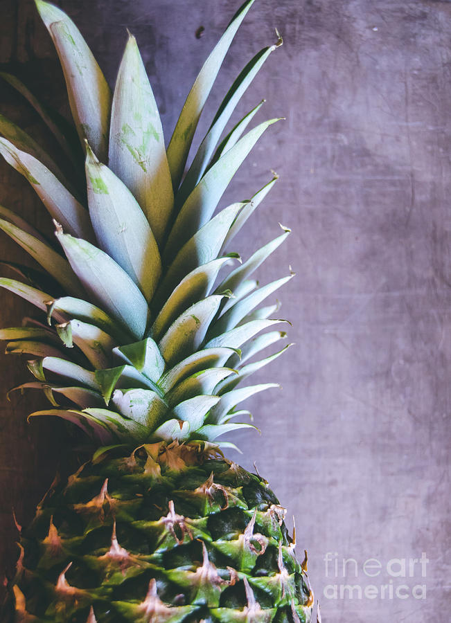 Nature Photograph - Pineapple #2 by Andrea Anderegg