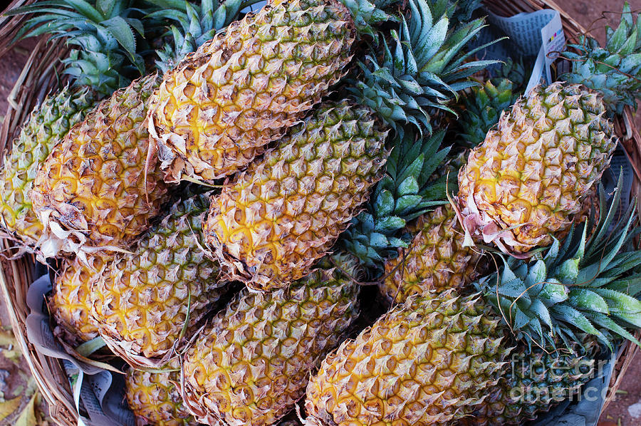 Pineapple Photograph - Pinapples by Tim Gainey