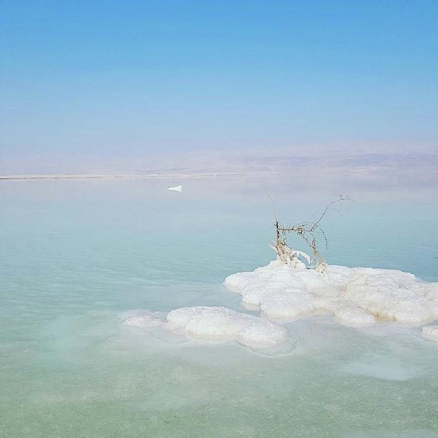 Israel Photograph - Pinch Of Salt...bordering Jordan And by Fenix Images